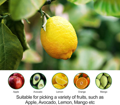 Fruit Picker Pole with Basket - 8.43FT(101Inch) Adjustable Fruit Picker with Basket, Orange Picker, Fruit Picking Pole for Orange Apple Avocados Lemon, Black