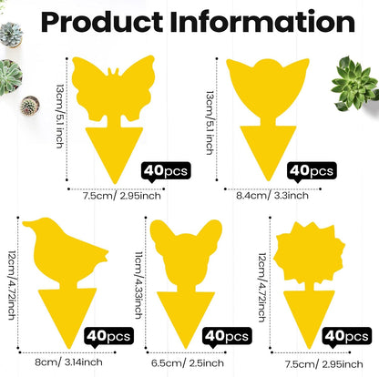 200 Sheets Fruit Fly Sticky Traps for Fruit Fly Gnat Trap for House Indoors Sticky Traps Catcher for Gnats Fungus Gnats Mosquito Catcher for Kitchen Outdoor Plants(Yellow)