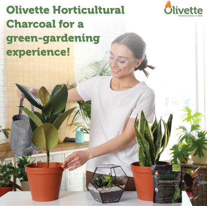 Olivette Horticultural Biochar Activated Charcoal for Plants, USDA Organic Moisture Control for Terrarium Trees & Potted Plants, Eco-Conscious, 1 Bag