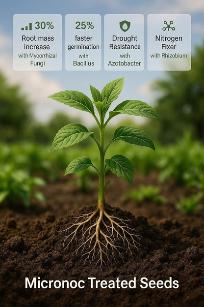 Seed Inoculant - Organic Fertilizer for Soil Health and Strong Germination - Beneficial Microbial Seed Inoculant (5lbs)