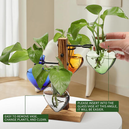 Plants Propagation Stations Plant Terrarium Kit Glass Planters for Indoor Plants House Plant Accessories Gift for Women - 4 Love Bulb Vase