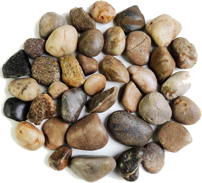 HappyFiller Decorative Natural Pebbles Polished Rocks Stones Mixed Color for Aquarium Gravel,Fish Turtle Tank,Outdoor Indoor Plants Top Dressing,Garden Landscaping,Home Vase Filler Decoration,2 LB