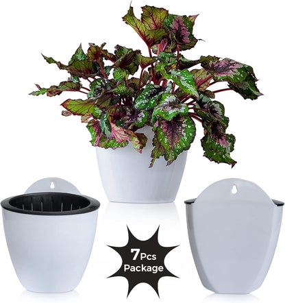 ShoppeWatch Wall Planters for Indoor Plants 7 Pack | Hanging Planters Large 7 Inch with Hooks | Wall Pots for Plants | 7.28 x 6.1 inches - PL35