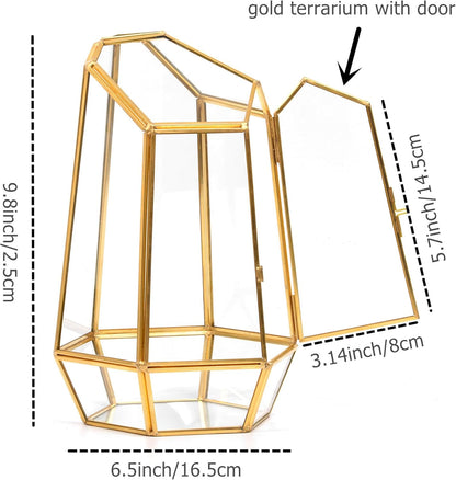 Golden Geometric Glass Terrarium with Door - 9.8" Tall Irregular Clear Planter for Succulents,Ferns,Moss,Cacti | Indoor Fairy Garden,Tabletop Display,Wedding Home Decoration (Plants Not Included)