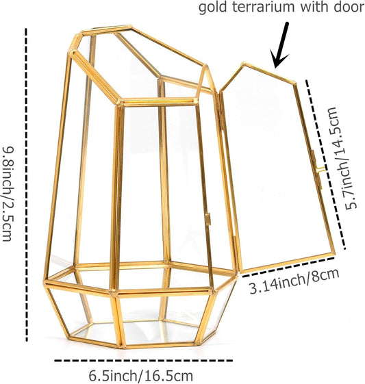 Golden Geometric Glass Terrarium with Door - 9.8" Tall Irregular Clear Planter for Succulents,Ferns,Moss,Cacti | Indoor Fairy Garden,Tabletop Display,Wedding Home Decoration (Plants Not Included)