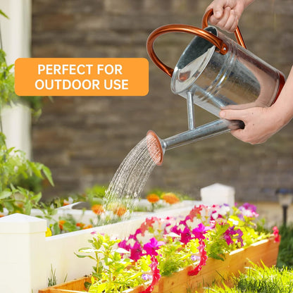 Metal Watering Can for Outdoor Plants, Galvanized Steel Watering Can with Removable spout, 1 Gallon,Perfect Home & Garden Décor Retro Zinc Hue