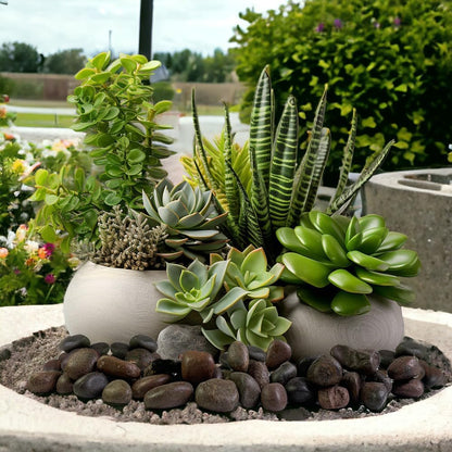 HappyFiller Natural Decorative Pebbles Polished Rocks Stones for Aquarium,Fish Turtle Tank,Outdoor Indoor Plants Top Dressing,Succulents Soil Cover,Garden Landscaping,2 LB,Red Mix,0.8-1.6"