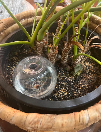 Blumat Clear Globe 3-Pack