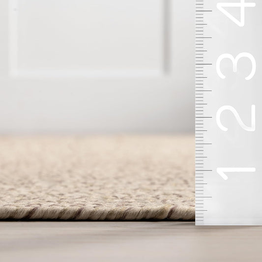 nuLOOM 4' x 6' Solid Hand Braided Indoor/Outdoor Area Rug, Pet-Friendly, High Traffic, Weather Resistant, for Patio, Balcony, Bedroom, Living Room, Dining Room, Wynn Tan