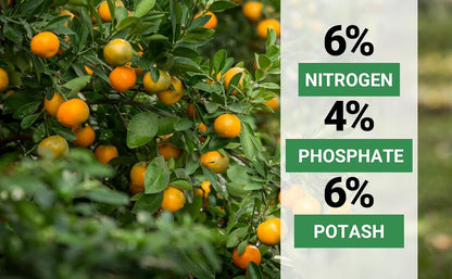 6-4-6 Avocado and Citrus Tree Professional Fertilizer Plant Food for Outdoor/Indoor Gardening; Quick-Release Nitrogen Fertilizer; Orange, Lime, Avocado and Lemon Tree Fertilizer (4 QUARTS)