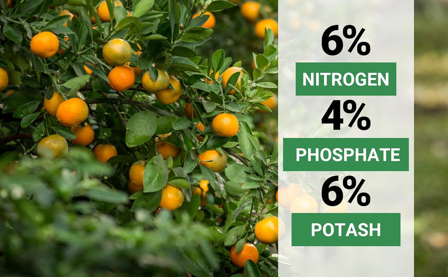6-4-6 Avocado, Mango Citrus Tree Professional Fertilizer, Plant Food Outdoor/Indoor Gardening; Quick-Release Nitrogen Fertilizer; Orange, Lime, Avocado and Lemon Tree Fertilizer (1/2 QUART)