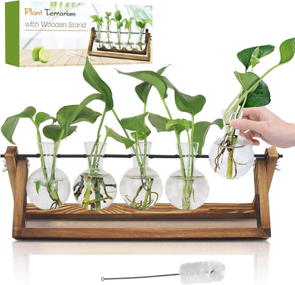Plant Propagation Station, Propagation Vases for Plants, Unique Gardening Birthday Gifts for Women Plant Lovers Mom Best Friend - 5 Bulb Glass Vases
