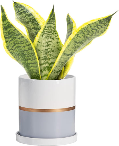 Ekirlin 4 inch Plant Pot - Ceramic Flower Planters Indoor - Modern Succulents Containers with Drain Hole Saucer, Decorate Home, Office & Outdoor (Grey)