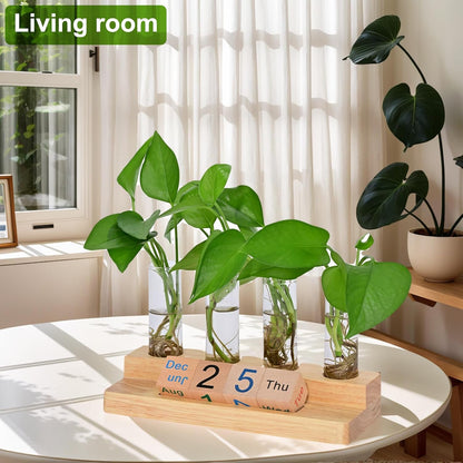 Propagation Vases for Plants, with Block Calendar for Desk, for Home and Desk Decor, Perfect Gardening Gifts for Women, Mom, Teacher, Horticulturist(Light Wood Color)
