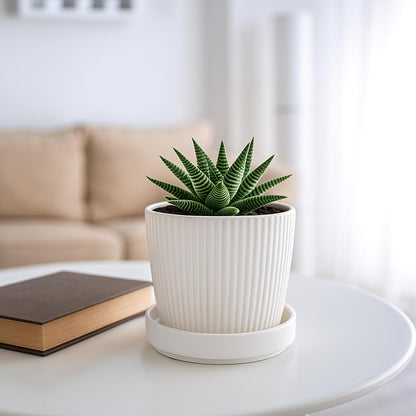 D'vine Dev Modern Round 3.7 Inch Ceramic Plant Pot Saucer, Planter Pot Drainage Tray for Indoor Plants, Matte White, 97-T-A-1