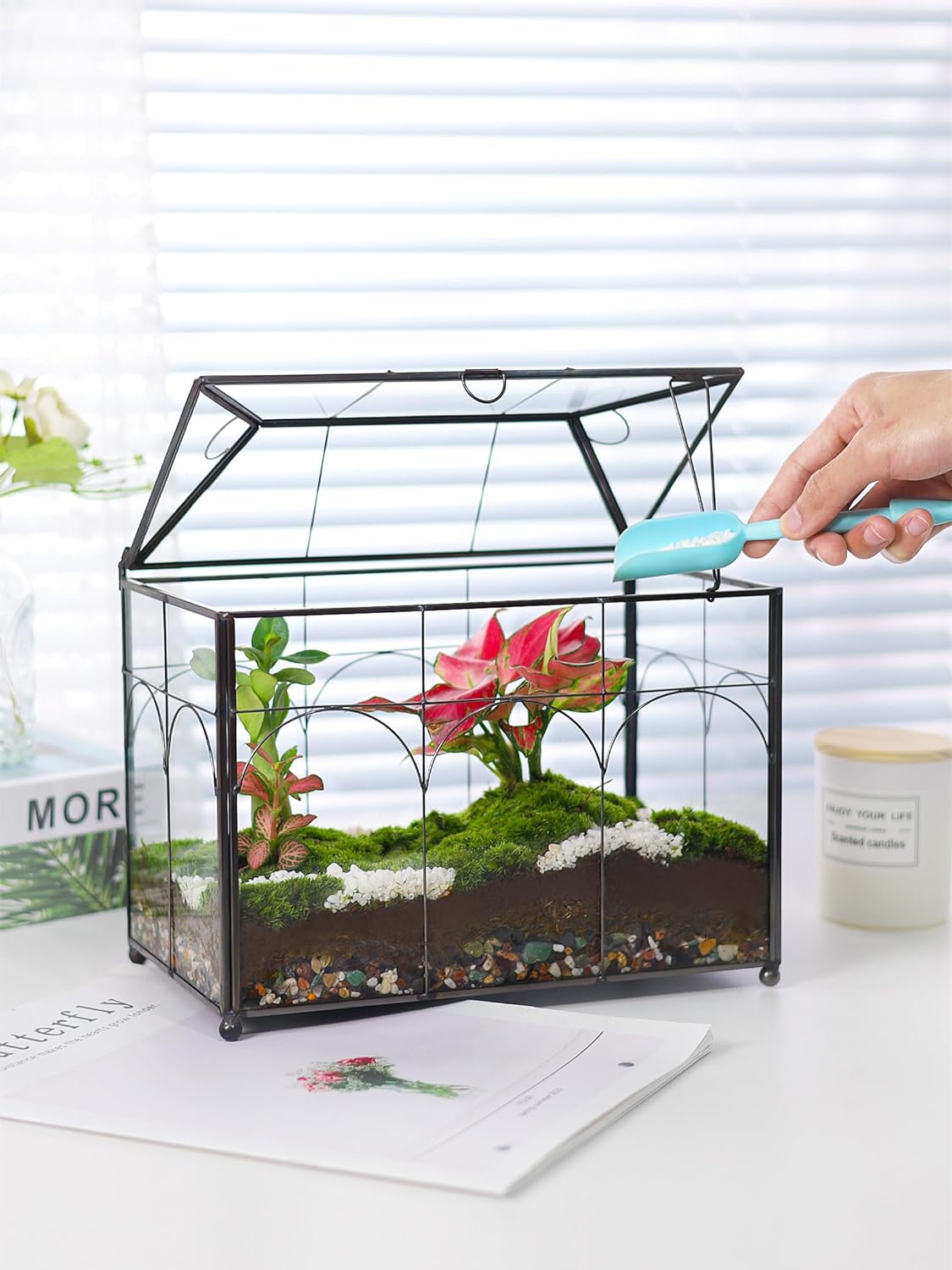 Handmade Glass Planter Terrarium with Lid, Indoor Tabletop Centerpiece Display Box Modern Decor DIY Gift Plant Terrarium Container for Succulent Cacti Air Plants Flower (Black)