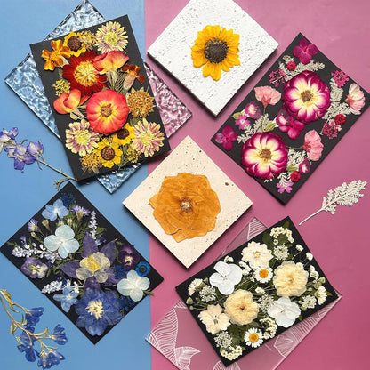 92Pcs Pressed Dried Flowers for Resin, Real Assorted Natural Bulk Dry Floral Leaves for DIY Art Crafts, Epoxy Molds, Jewelry, Soap, Candle Making, Nails Decors