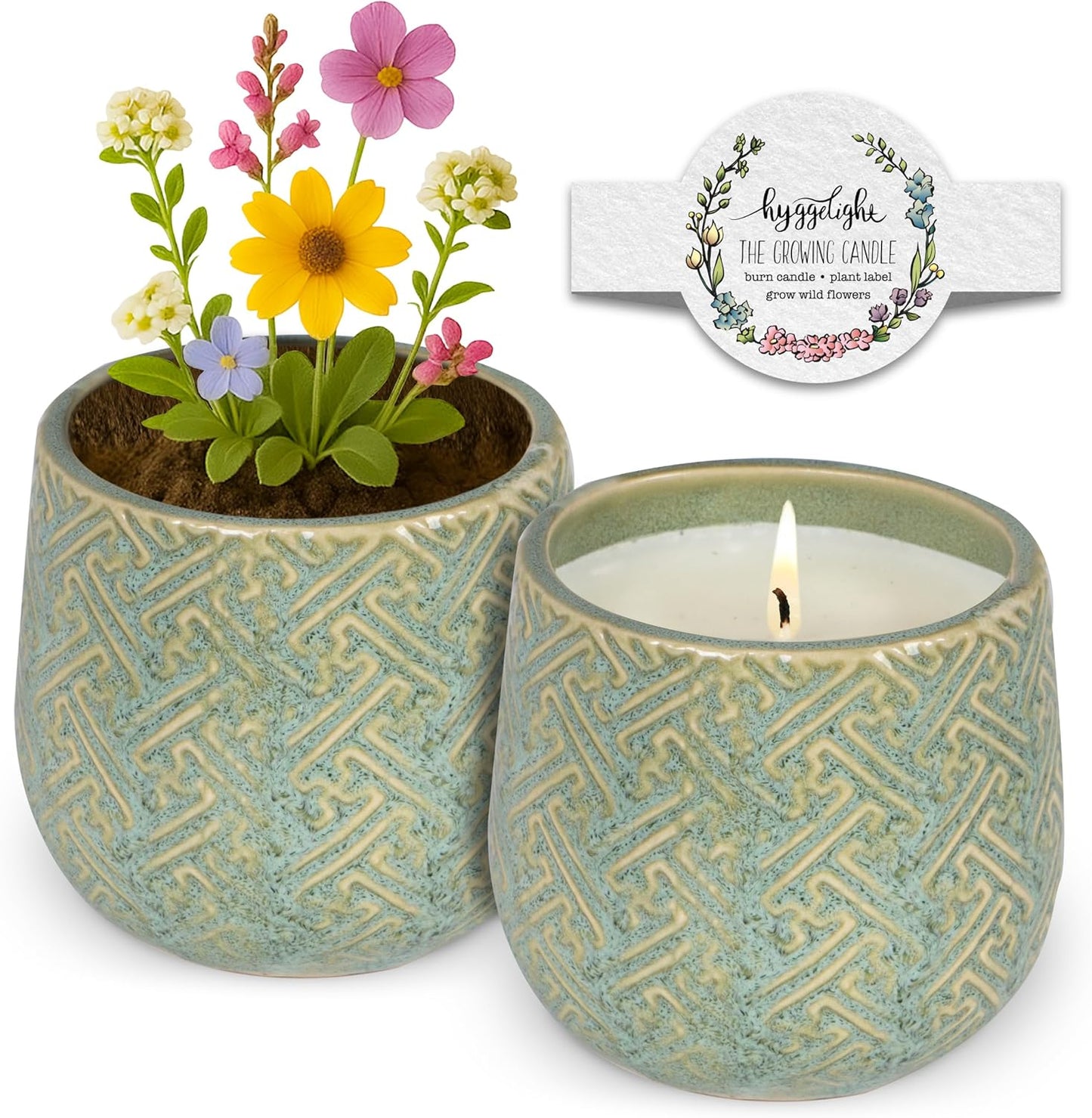 The Growing Candle, Wild Flower Scented, 10oz Ceramic Pot, Single Wick Aromatherapy Candles, 100% Soy for Women and Men, Ida