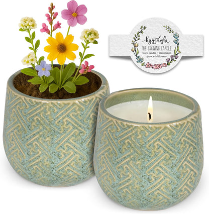 The Growing Candle, Sandalwood & Vanilla Scented, 10oz Ceramic Pot, Aromatherapy Candles for Home, 100% Soy, Ida