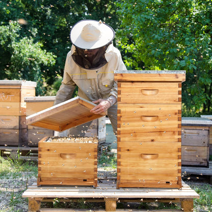 VINGLI 10-Frame Bee Hive, Wax Coated Beehive Starter Kit with Frames & Beeswax Coated Foundation Sheets (3 Layer)