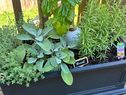 Plant Self Watering Globes - Terracotta Watering Spikes - Slow Release Olla Pots - Holds 14 oz - Drip Irrigiation Olla System