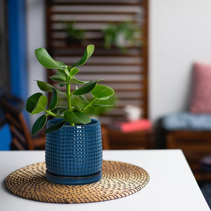 D'vine Dev 4 Inch Ceramic Beaded Stoneware Planter Pot - Flower Pot with Drainage Holes and Saucers for Indoor Succulent Plants or Flowers, Midnight Blue, 27-C-Z-3
