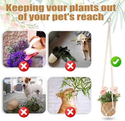 Macrame Plant Hanger, 2 Pack Boho Hanging Planters Baskets for Indoor Plants Decorative Braided Cotton Rope Flower Pot Holder with Metal Hook Rings for Outdoor Home Decor, No Tassels, Ivory, 34 Inchs
