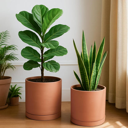 D'vine Dev Large 10 Inch Terracotta Plant Pot with Drainage Hole and Saucer, Round Cylinder Planter Pot for Indoor Plants, Set of 2, 40-X-B-5