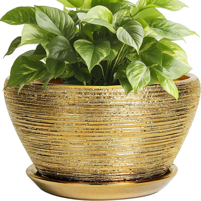 Ceramic Plant Pot Indoor - 9 Inch Planters for Outdoor Plants Decorative Plant Pot with Drainage Hole and Saucer Round Planter Modern Flower Pot Decorative for House Decor Gold