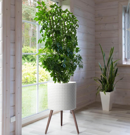 D'vine Dev 16 Inch Modern Geometric Tile Patterned Sleek Planter Pot with Stand, Indoor Outdoor Decorative Plant Holder, Matte White, 88-Z-E-1