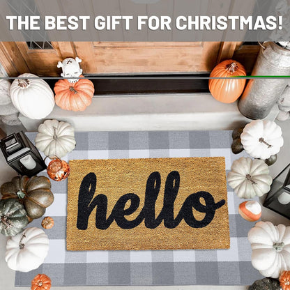 IOHOUZE Buffalo Plaid Checkered Rug 27.5" X 43" Front Door Mats, Washable Area Rugs for Front Porch Decor, Spring Summer Welcome Mats Outdoor, Gray White Rug for Farmhouse/Entryway/Home Entrance