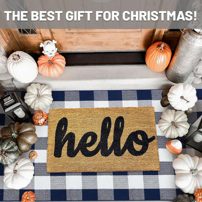 IOHOUZE Buffalo Plaid Checkered Rug 3x5 Ft Front Door Mats, Washable Area Rugs for Front Porch Decor, Spring Summer Welcome Mats Outdoor, Navy White Rug for Farmhouse/Entryway/Home Entrance