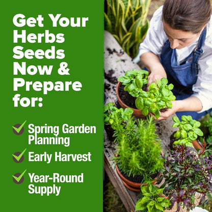 HOME GROWN 30 Herb Seeds for Planting 9,500+ Non-GMO Heirloom Seeds | Extra Large Variety Pack Herb Kit – Indoor Outdoor & Hydroponic | Culinary Seed Set | Grow Your Own Herbs | Gardening Gift