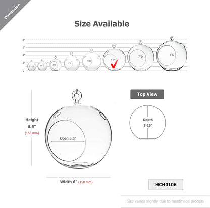 WGV Hanging Terrarium Globe, Width 6", Height 6.5", DIY Air Succulent Planter, Clear Glass Vase Orb with Flat Bottom, Candle Holder for Windowsill Outdoor Garden Decor, 6 Pieces Bulk