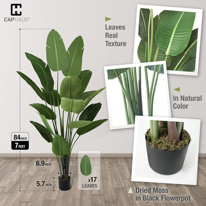 CAPHAUS 7 Feet Artificial Bird of Paradise, 84 Inch with 17 Trunks, Premium UV Resistant Lifelike Fake Plant in Pot with Dried Moss for Office, Indoor/Outdoor Use & Tropical Home Décor