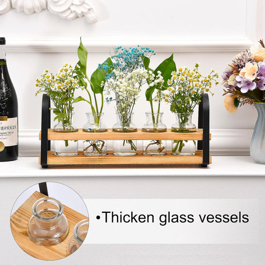 Plant Propagation Stations with Wood Stand, Desktop Plant Terrarium for Propagating Hydroponic, Flower Vase for Home Kitchen Office Decor, Plant Lover Gifts