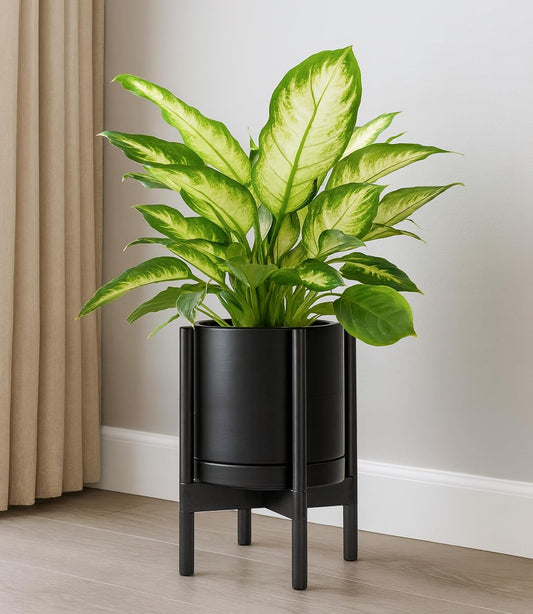 D'vine Dev Ceramic Planter with Ebony Stand - 10 Inch Modern Round Flower Pot with Wood Planter Holder, Black, 55-B-L-2