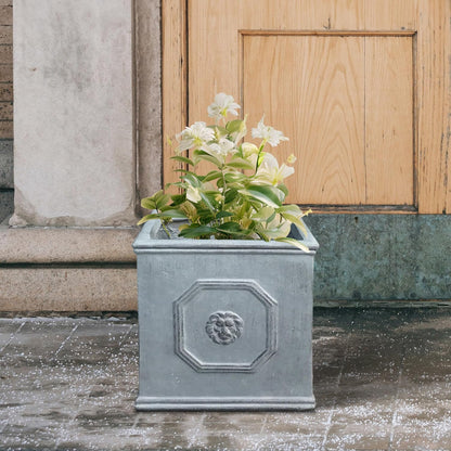 Kante Square Lion Head Concrete Planter, Classic English Style Plant Pot with Drainage Hole and Rubber Plug for Indoor Outdoor Garden Patio Home, 10.2"x10.2"x 10.2" Antique Gray