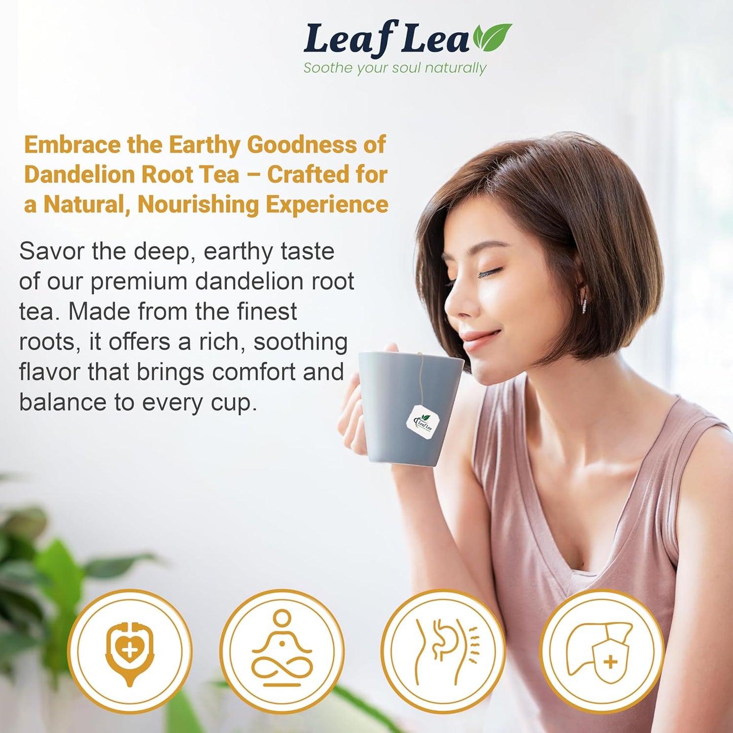 LeafLea Dandelion Root Tea Bags, 240 Count, Natural Dandelion Root Herbal Tea Blend, Supports Digestive and Immune Health, Caffeine-Free, Sugar-Free, Vegan, Gluten-Free, Pack of 6