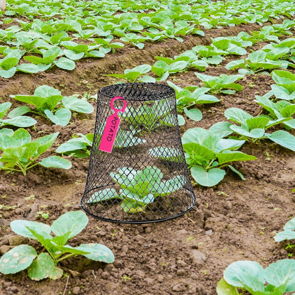 20 Pcs 9×9inch Chicken Wire Plant Covers Wire Garden Cloches Chicken Wire Cloche Plant Protector Metal Heavy Duty Garden Plant Cloche for Keeping Bunnies Chicken Squirrels Birds Other Out