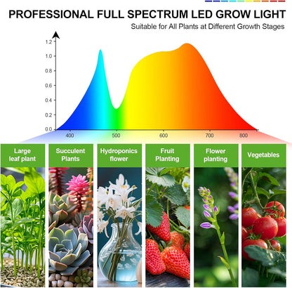 2-Head Grow Light with Stand 50W, FECiDA 2025 Grow Lights for Indoor Plants, Full Spectrum LED Plant Grow Light for Houseplants, Bonsai Tree, 4,8,12,16 Hr Timer and 360° Gooseneck