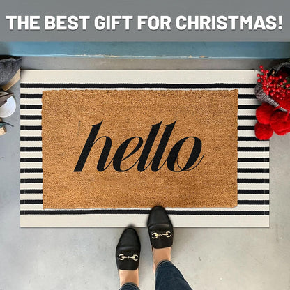 IOHOUZE Black Beige Striped Rug -2'x3' Front Door Rugs Outdoor, Small Washable Area Rug for Front Porch, Spring Summer Welcome Mats Outdoor Indoor, Doormat for Entryway Porch Entrance