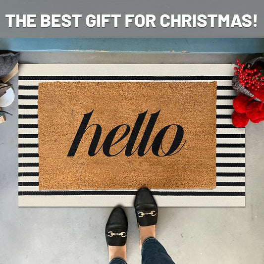 IOHOUZE Black Beige Striped Rug -2'x3' Front Door Rugs Outdoor, Small Washable Area Rug for Front Porch, Spring Summer Welcome Mats Outdoor Indoor, Doormat for Entryway Porch Entrance
