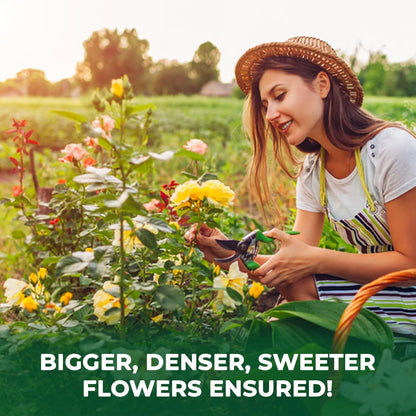 BuildASoil Vegan Bloom Booster & Flower Fertilizer – Organic Hydrangea & Rose Fertilizer Plant Food, Bloom Booster Fertilizer for Outdoor Gardens & Houseplants – Natural Soil Flower Food, 1 LB Bag