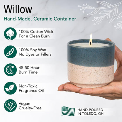 The Growing Candle, Coffee Scented, 8.5oz Ceramic Pot, Aromatherapy Candles, 100% Soy, Cream and Espresso Aroma for Home, Willow