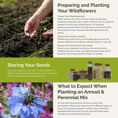 Eden Brothers Blue Ribbon Flower Mixed Seeds for Planting, 1/4 lb, 120,000+ Seeds with Blue Bell, Cornflower Blue, Chicory, Attracts Pollinators, Plant in Spring or Fall, Zones 3, 4, 5, 6, 7, 8, 9, 10