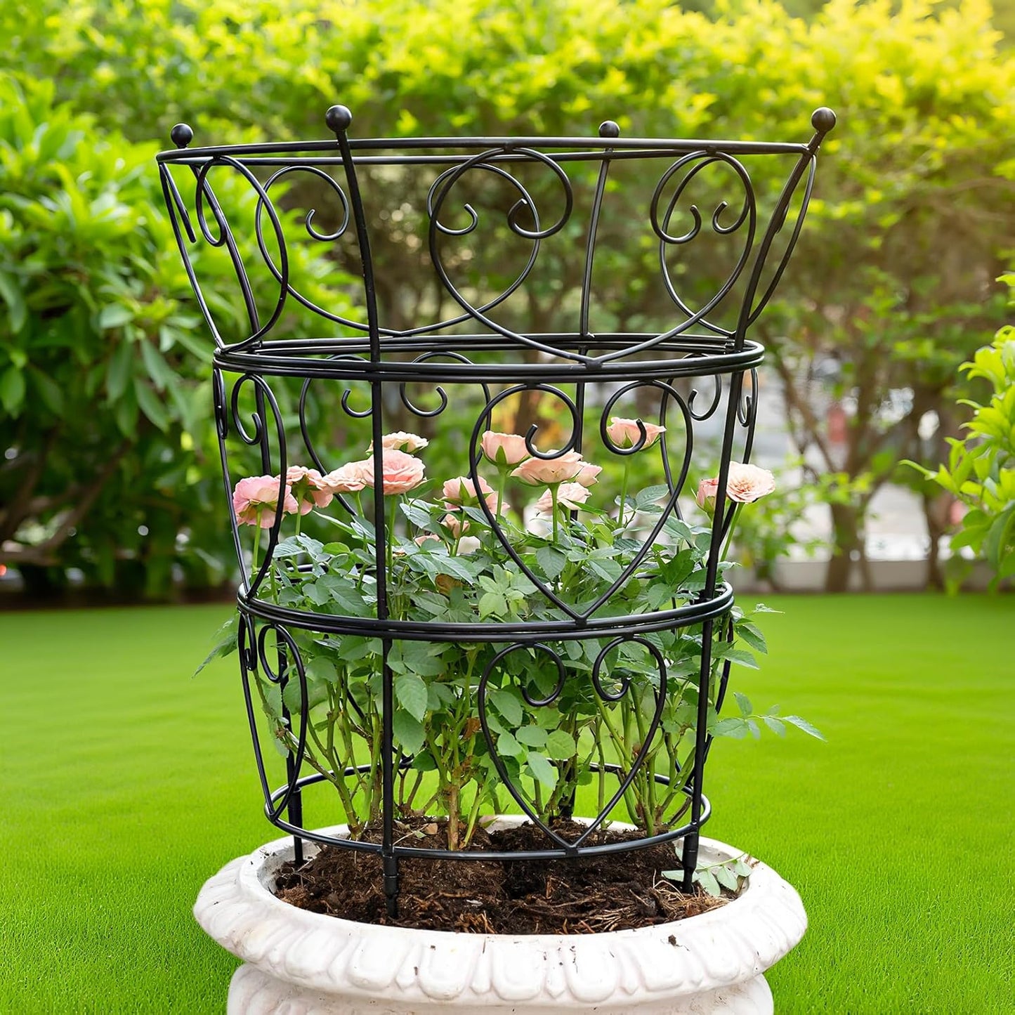 Large Obelisk Trellis Peony Cage 24.6x17 Inches - Premium Metal Plant Support for Outdoor Gardens, Easy Assembly, Sturdy Design, Perfect for Climbing Plants