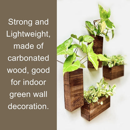 LaLaGreen Wood Planter Box for Plants (4 Pack) Wooden Hanging Wall Planters for Indoor Plant Holder Vase for Dried Flowers, Modern Living Room Bedroom Kitchen Home Office Decor