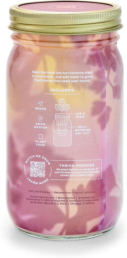 Modern Sprout Mason Garden Jar - Self-Watering Hydroponics Growing System Kit with Organic Herb Seeds - Jar Planter for Indoor Herb Garden - Seed Starter Kit - Home Decor & Gifting - Parsley