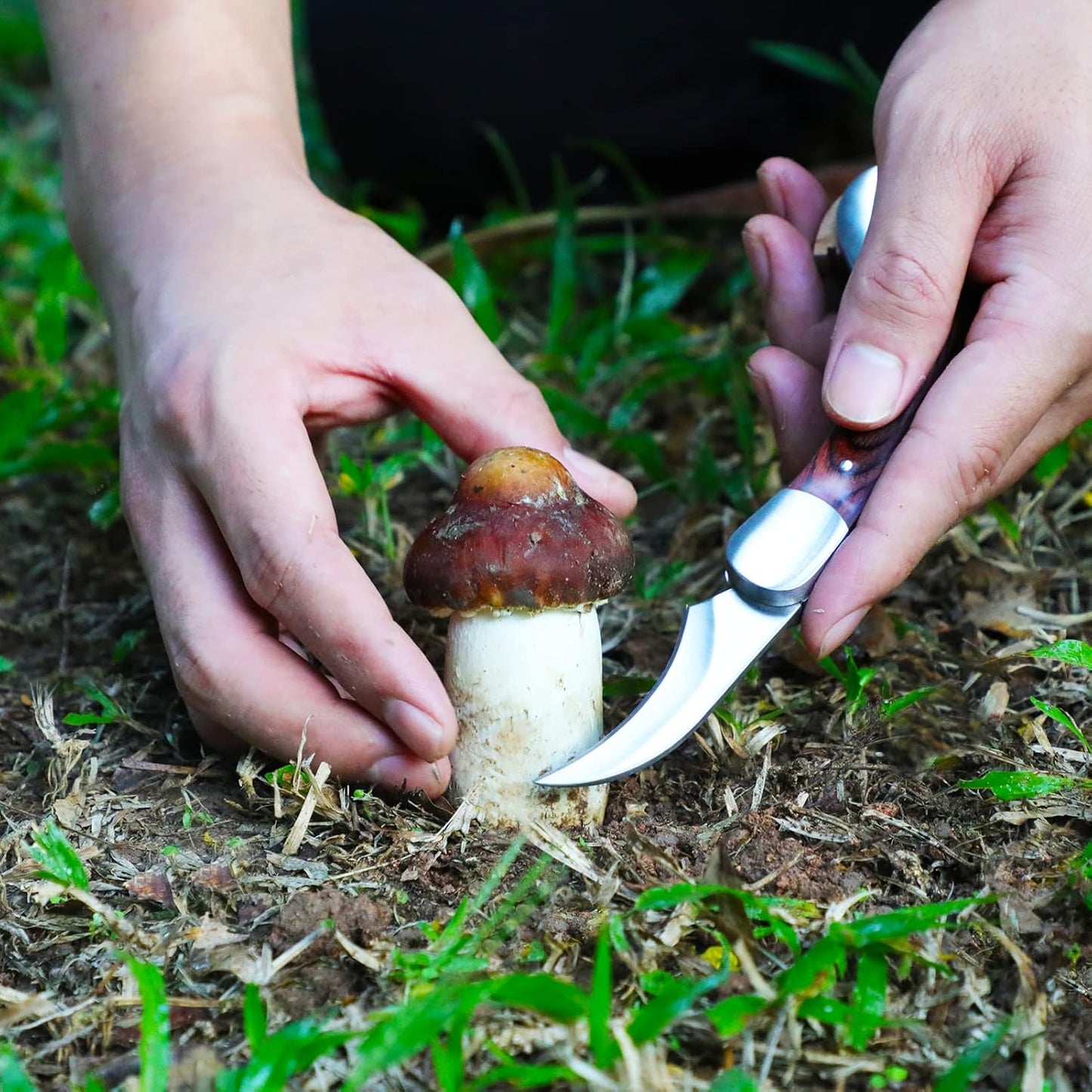 Mushroom Foraging Knife - Folding Knife with Brush and Sheath for Mushroom Lovers